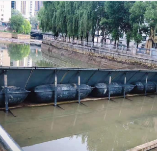 ​Shield type rubber dam